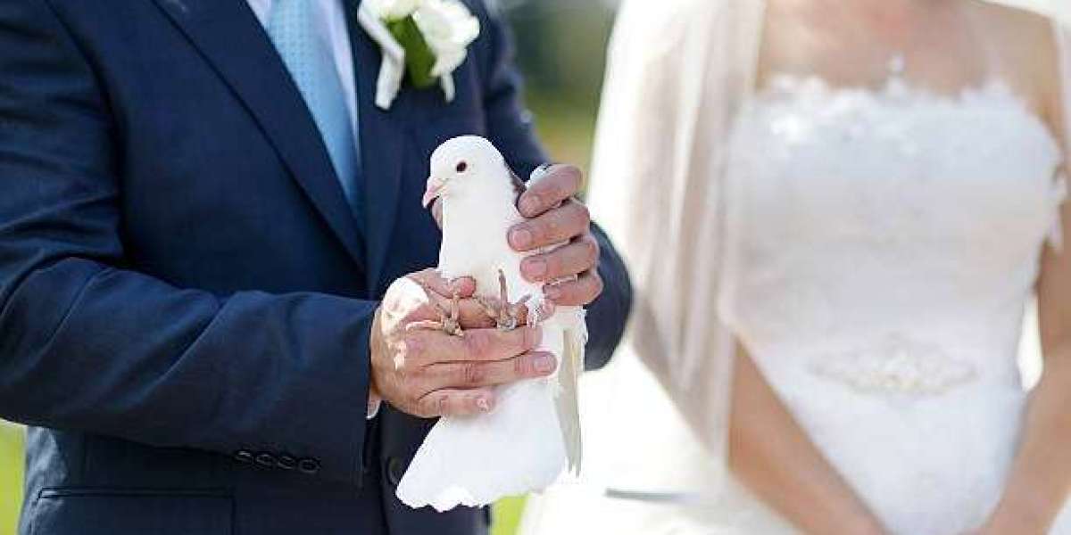 Understanding the Emotional Meaning of the Dove Ring