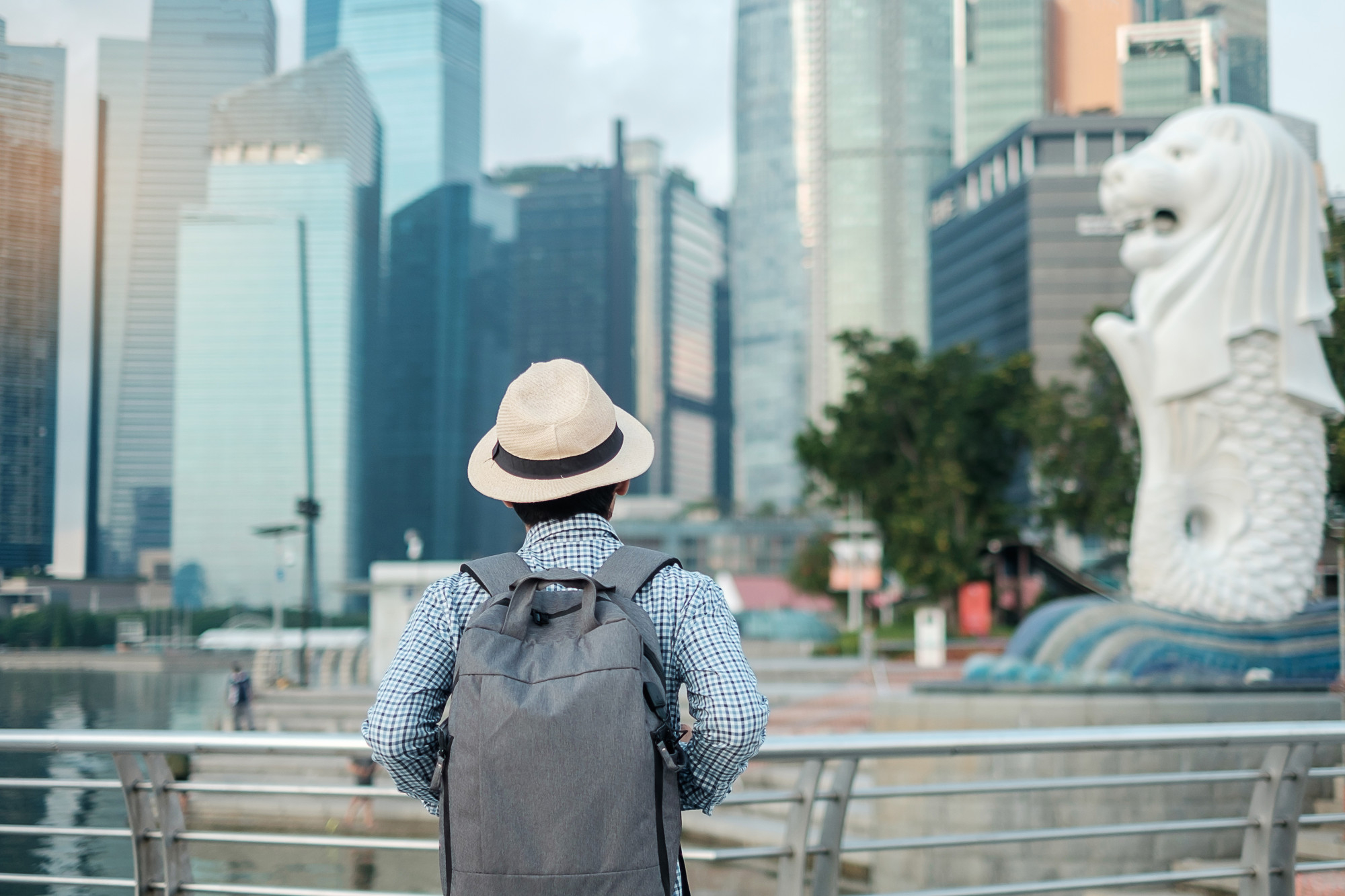 Top Education Consultant Singapore for Study Abroad Success