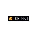 trigent software