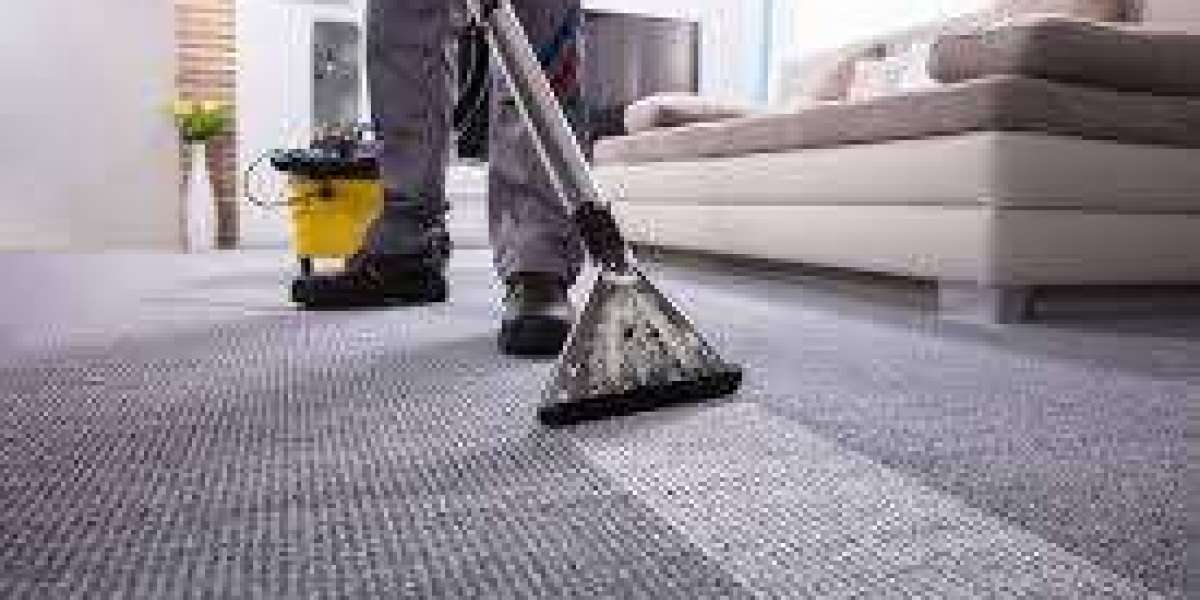 How Often Should You Use Carpet Cleaning Services?