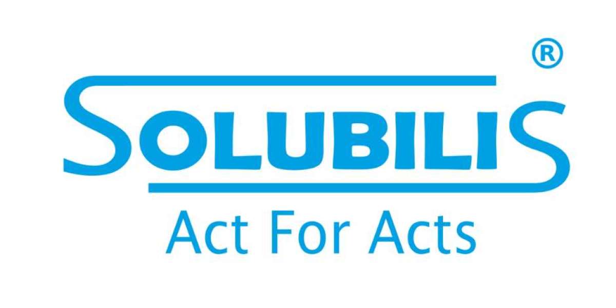 Empowering Entrepreneurs: Solubilis Corporate Services in Bangalore