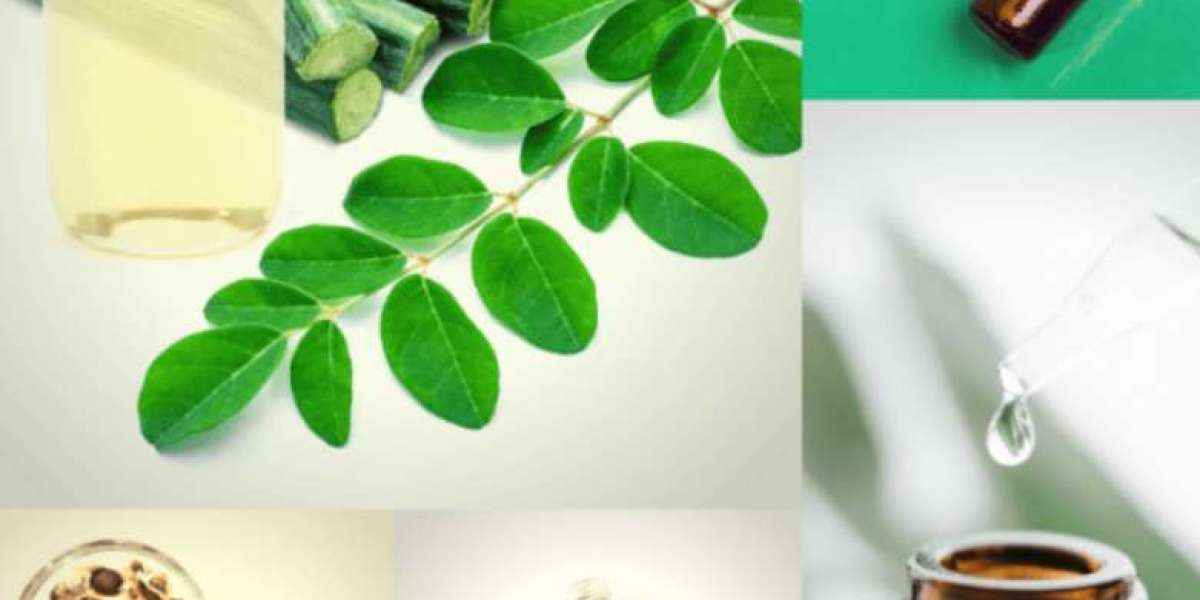Buy Moringa Oil in India – Bulk & Wholesale Suppliers