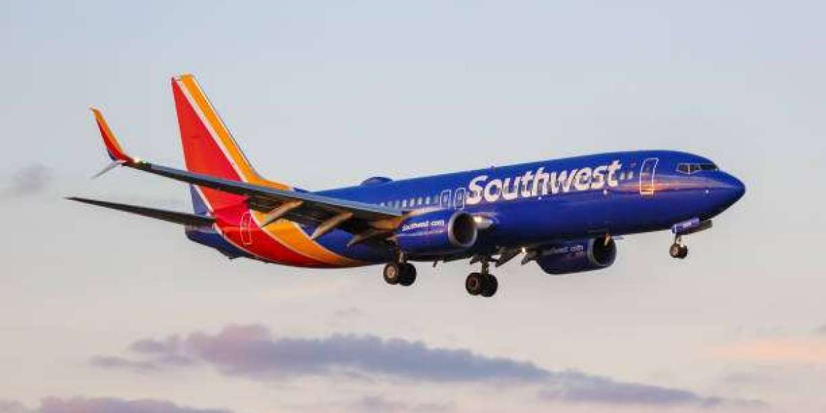 Navigating the Southwest Terminal LAX: A Complete Traveler’s Handbook