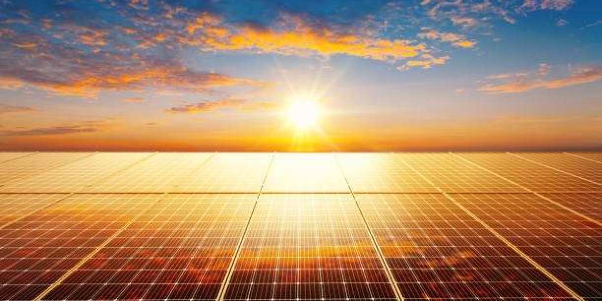 Agriculture Solar Panels: Reducing Costs and Enhancing Yields