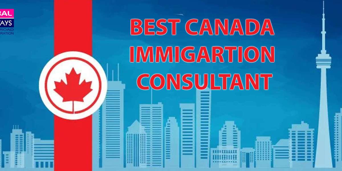 Canada Immigration Consultants:  <br>Your Guide to a Smooth Canada Immigration Process:
