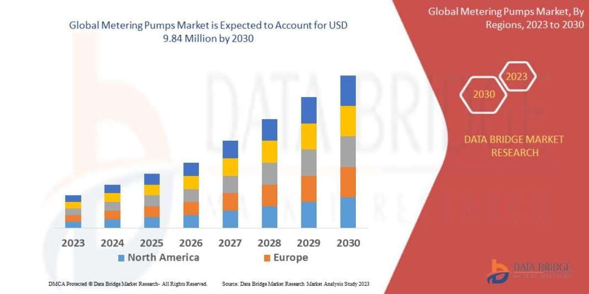 Metering Pumps Market Trends, Challenges, and Forecast by 2030