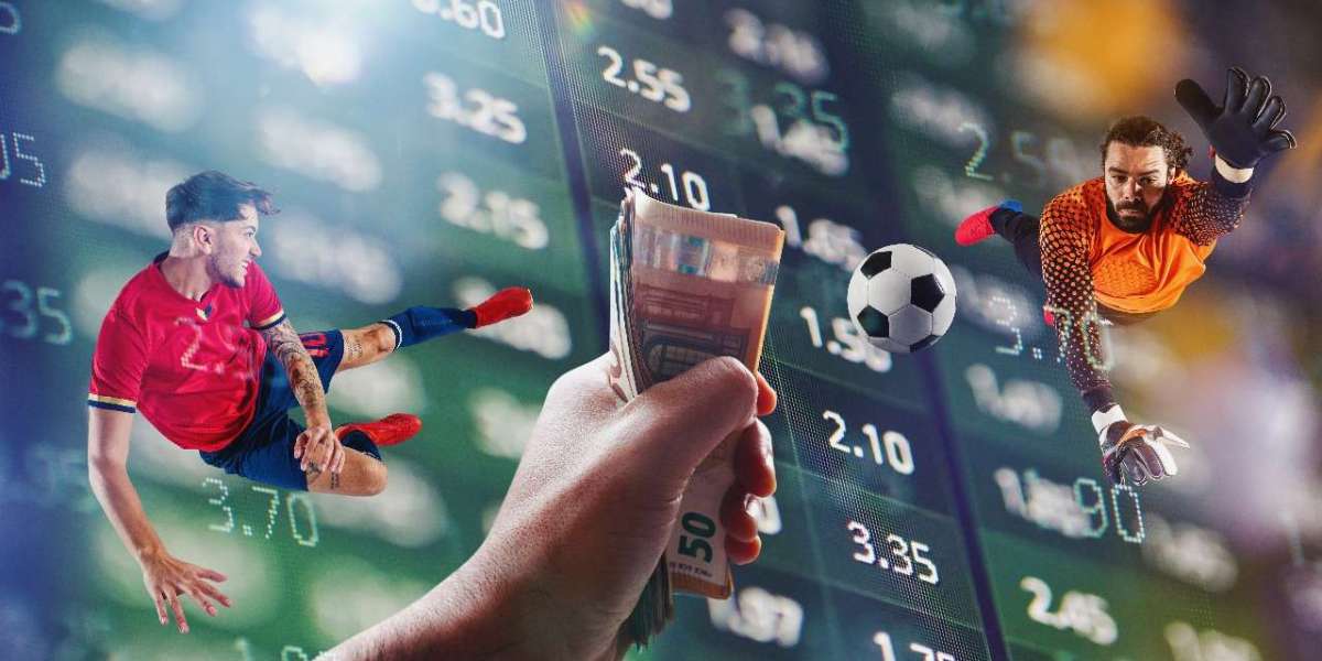 White Label vs. Custom Casino and Sportsbook Solutions: What’s Right for Your Brand?
