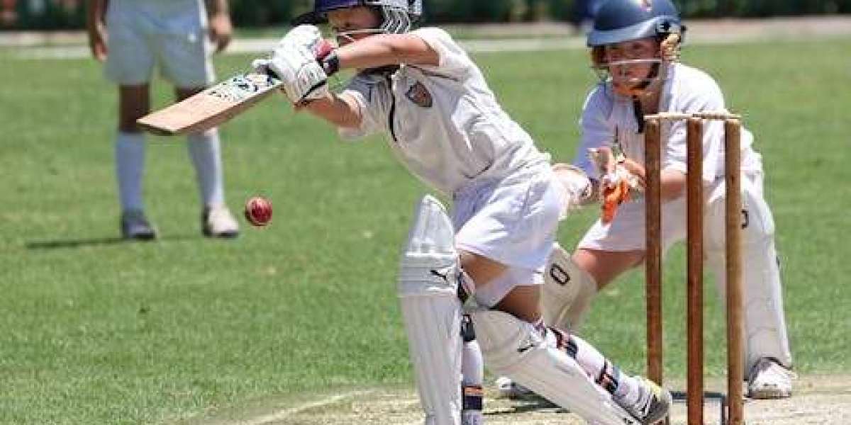 The Rise of Diamond Exchange ID: Revolutionizing Online Cricket Betting in India for 2025