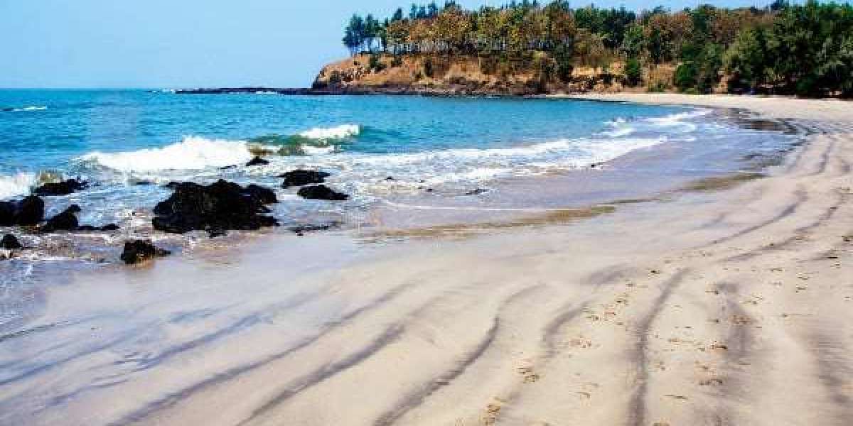 Pune to Alibaug Cab