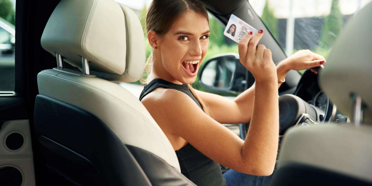 Guide To Online Uk Driving Licence: The Intermediate Guide To Online Uk Driving Licence
