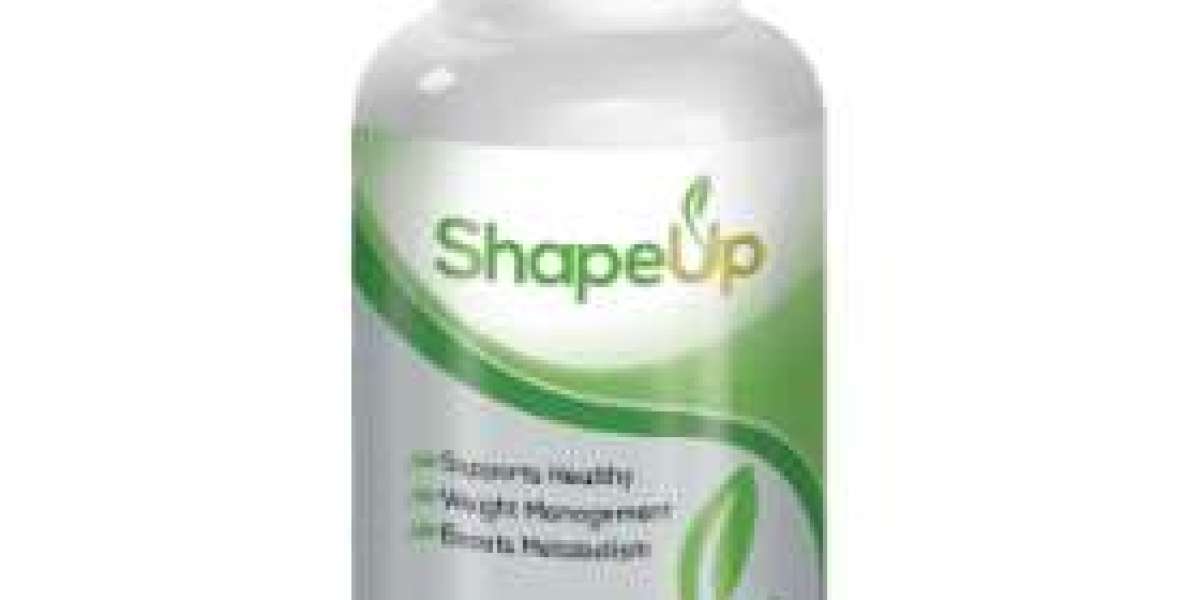 How does Shape Up Diet help with weight loss?