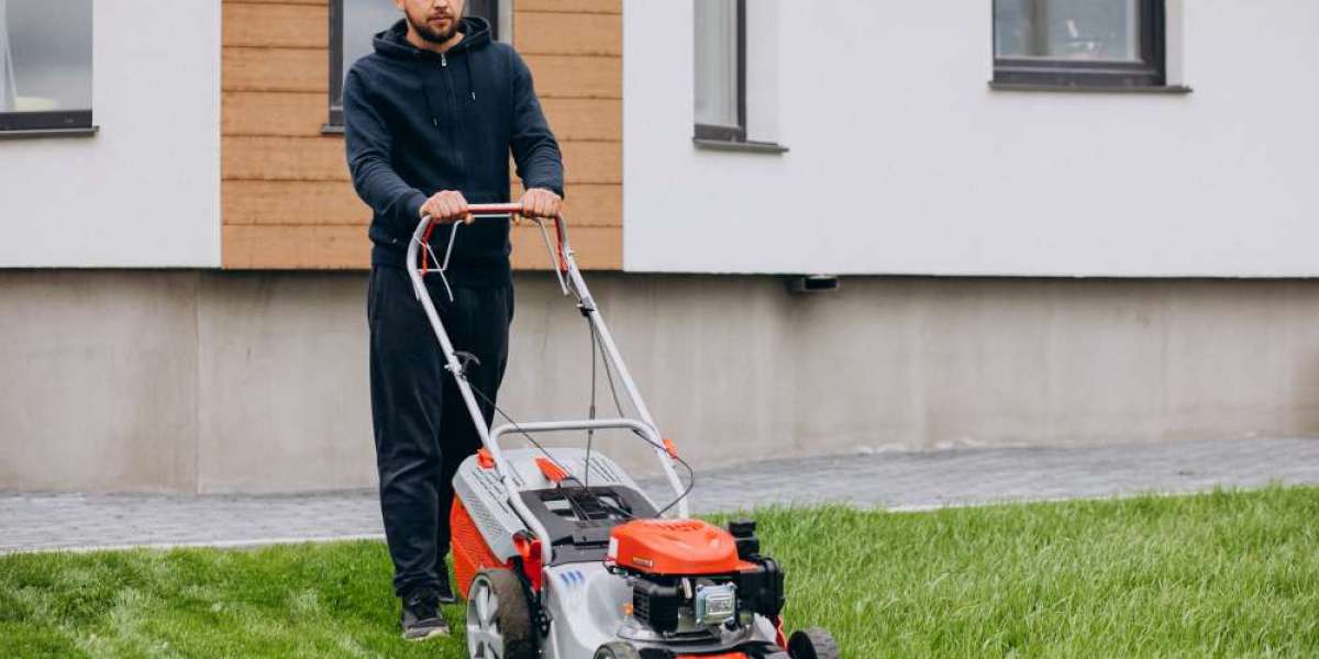 How Do I Make My Lawn the Most Beautiful? Proven Tips