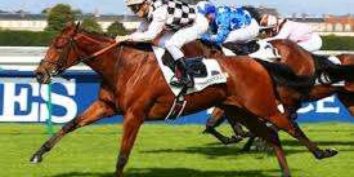 Les pronostics de Turf Universel : Une analyse approfondie