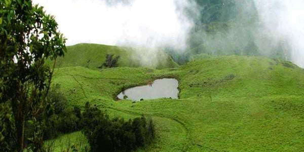 Bangalore to Wayanad Cab