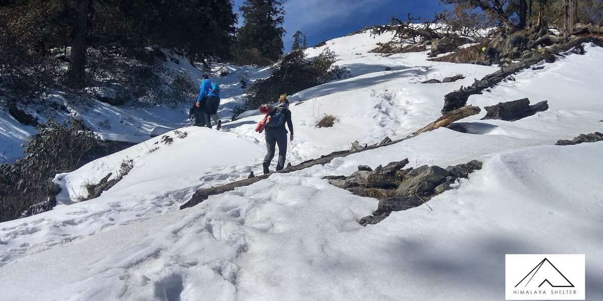 Seasonal Trekking Guide 2025: Best Months for Himalayan Adventures with Himalaya Shelter