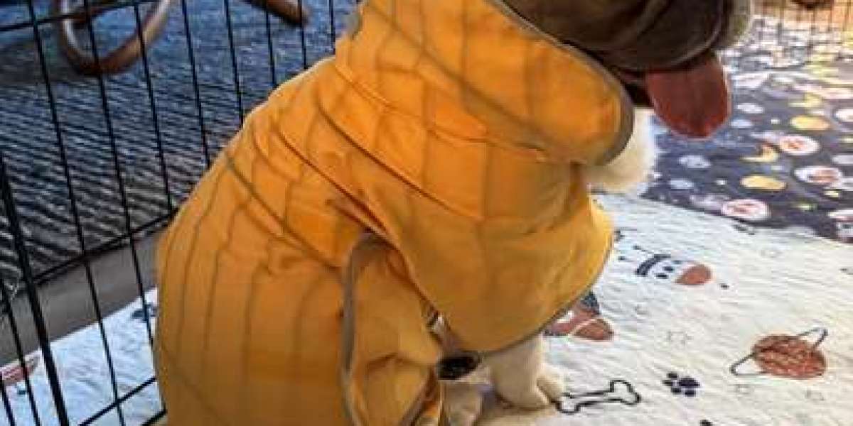 Wrap Your Pup in Comfort: The Ultimate Dog Bathrobe Towel