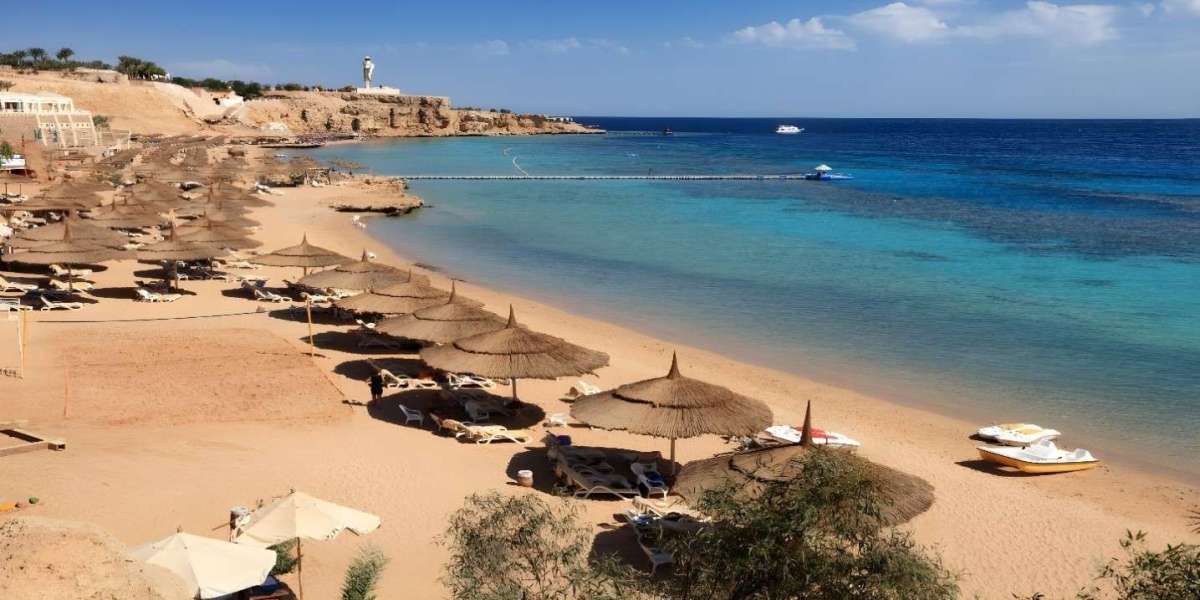 Top 5 Beaches to Visit in Saudi Arabia for a Relaxing Getaway