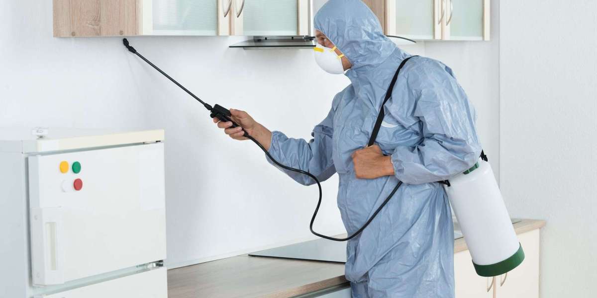 Top 10 Common Household Pests in the U.S. and How to Get Rid of Them