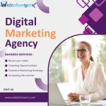 Seo Agency France