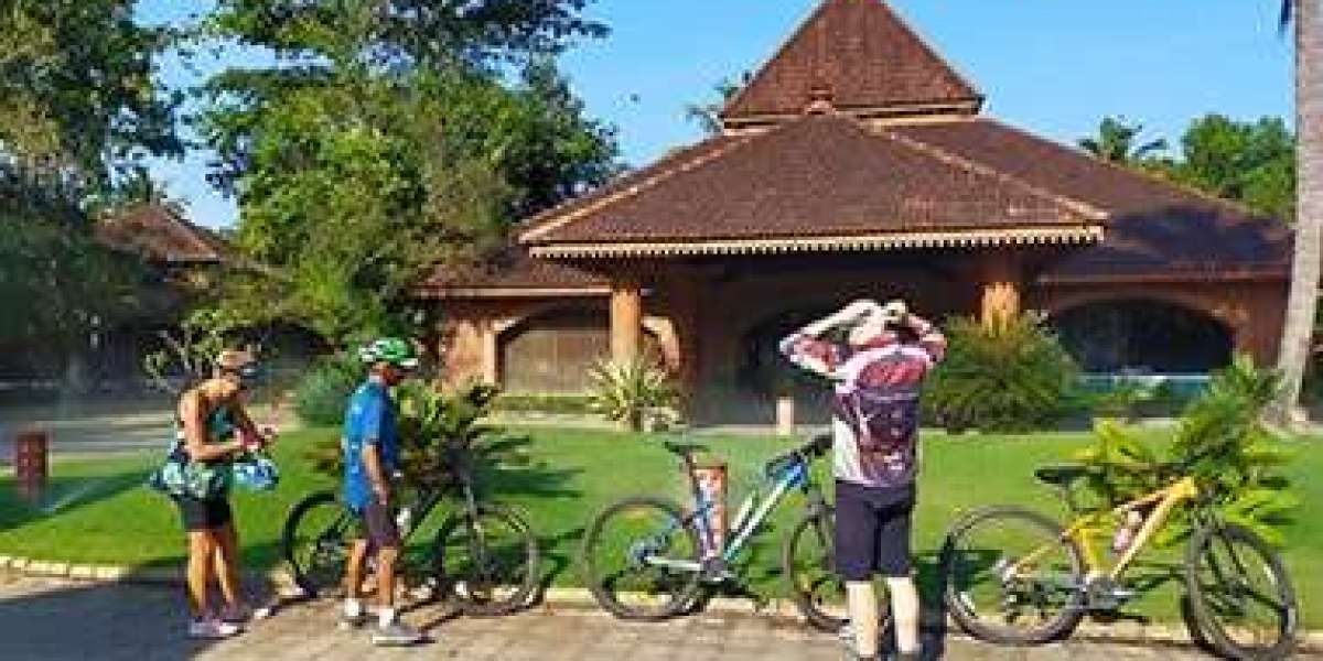 Pedal Through Paradise: What To Expect From A Kerala Cycling Tour