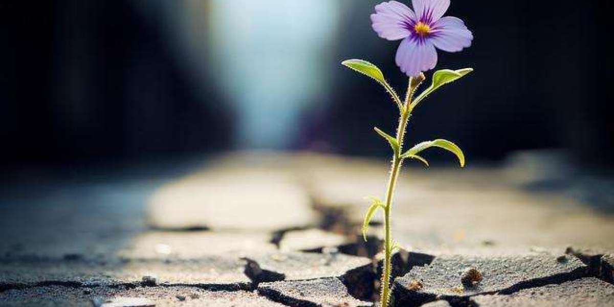Discover Your Potential with Self Spark's Personal Development Tools