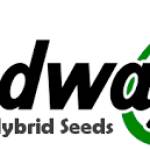 Seed ways