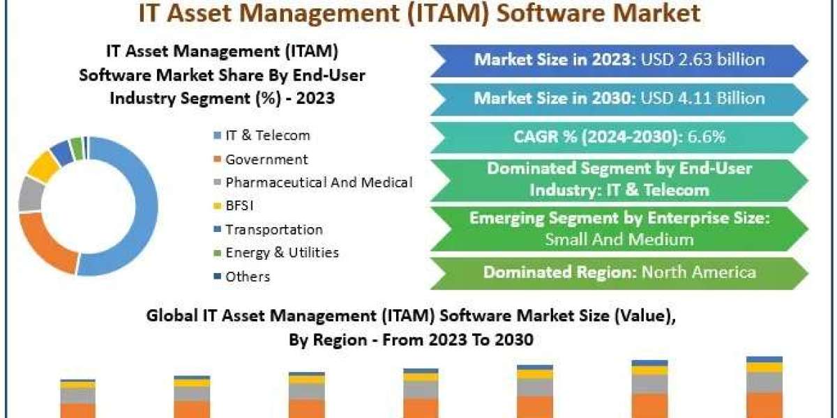 IT Asset Management (ITAM) Software Market: The Development Key Players-2030