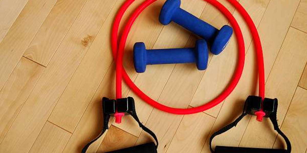 Resistance Bands Market Value Chain Analysis And Forecast Up To 2027