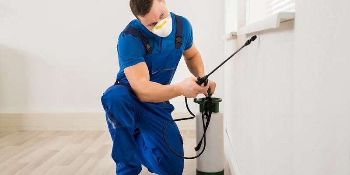 Ant Extermination Service Parma Oh