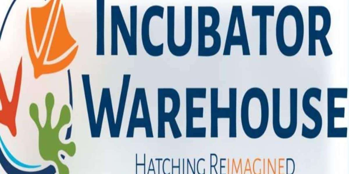 Top-Rated Cabinet Incubators for Poultry