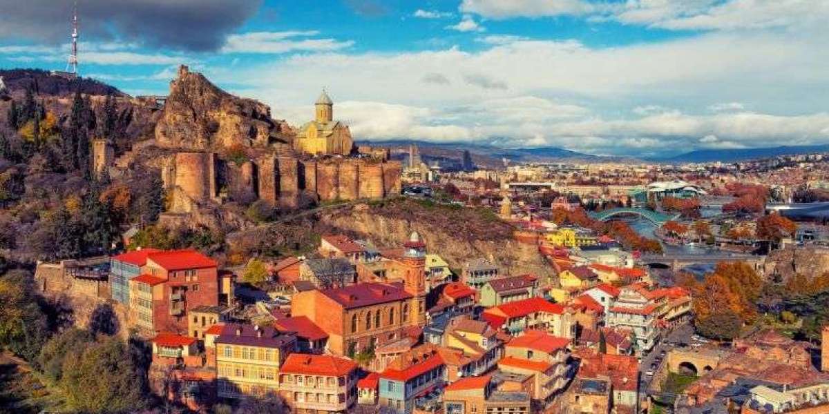Why Indian Students Should Choose MBBS in Georgia