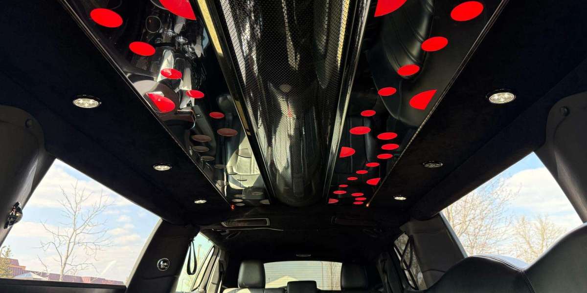Party Bus Service in Hoffman Estates