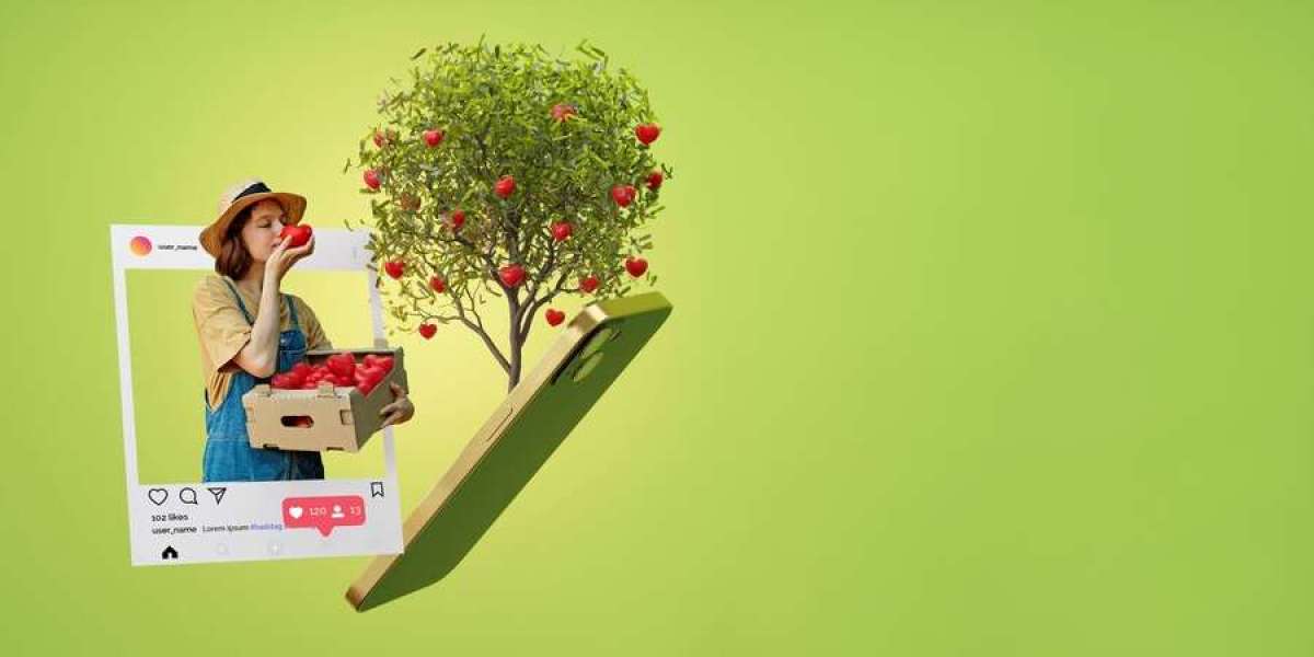 How to Combine Organic and Paid Growth on Instagram