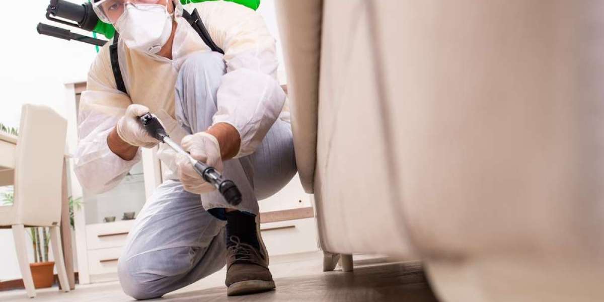 Pest Control Service Parma Oh
