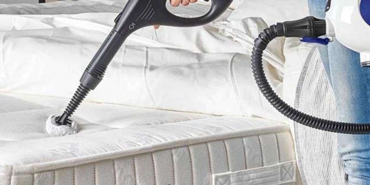 Fast and Effective Bed Bug Removal Services for Every Home