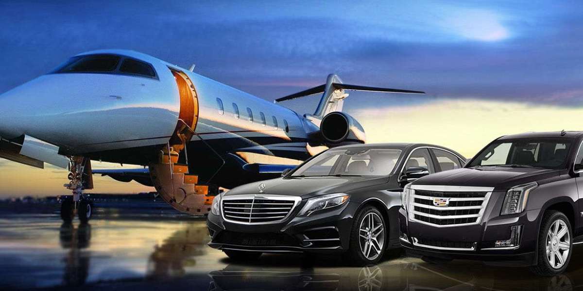 Transportation Service in Miami
