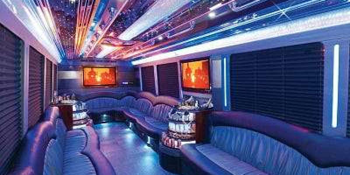 Party Bus Services in Schaumburg