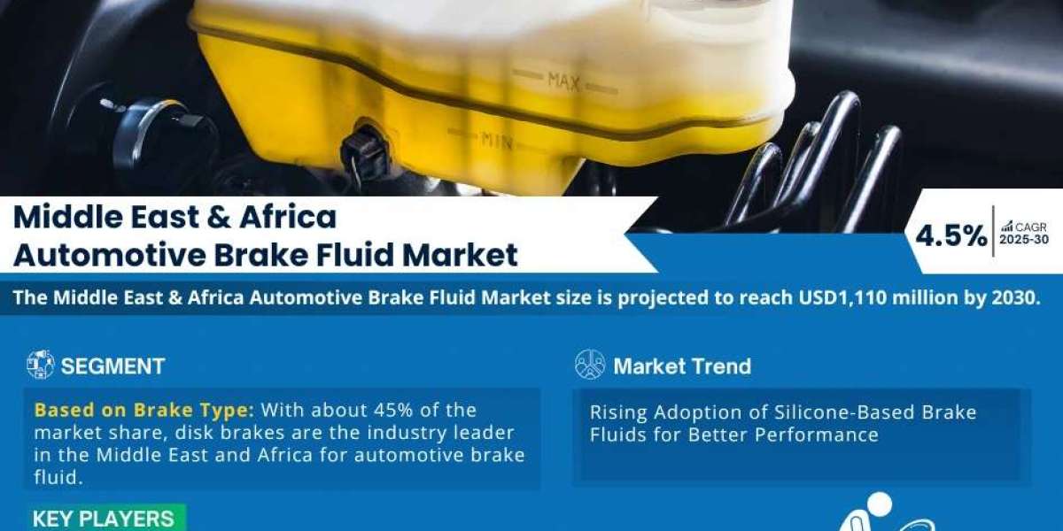 Middle East & Africa Automotive Brake Fluid Market Intelligence: Trends, Players, and Forecasts 2030