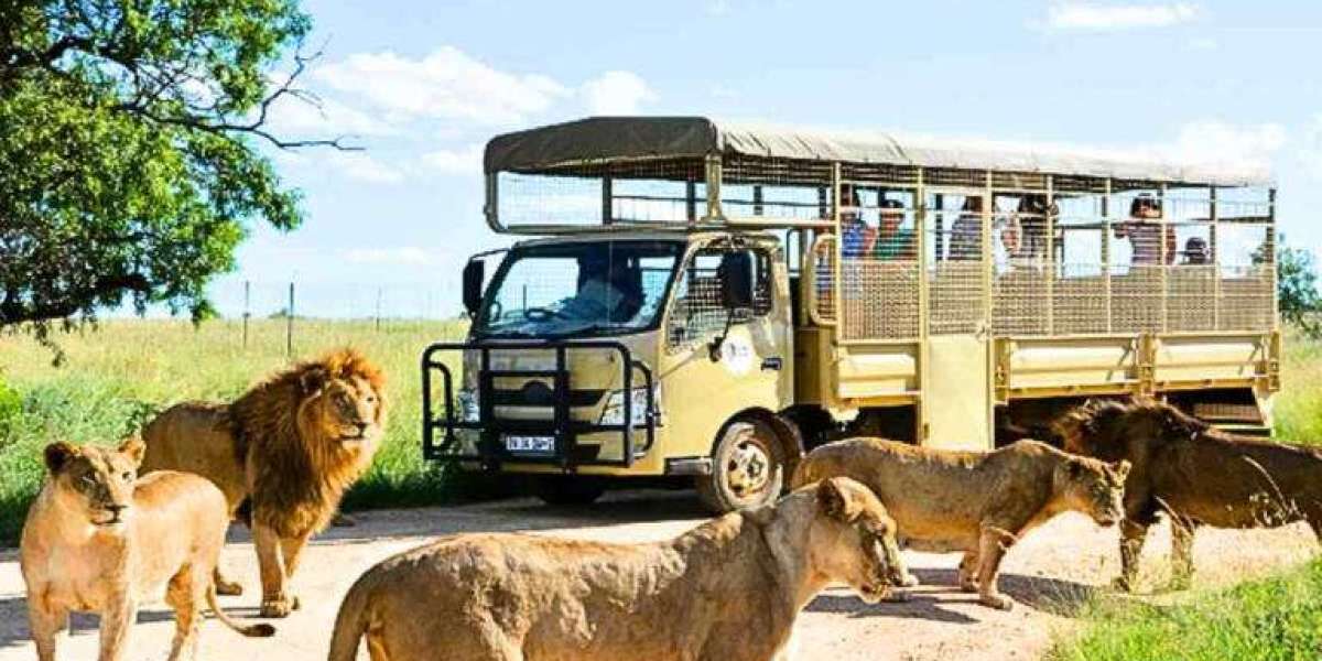 Responsible Tourism in Tanzania: Protecting Nature, Empowering Communities
