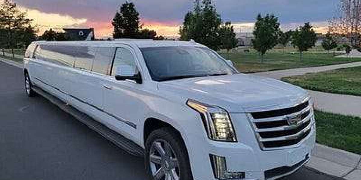 Wedding Transportation Service in Schaumburg
