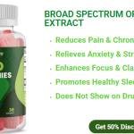 BlissHarmony CBD