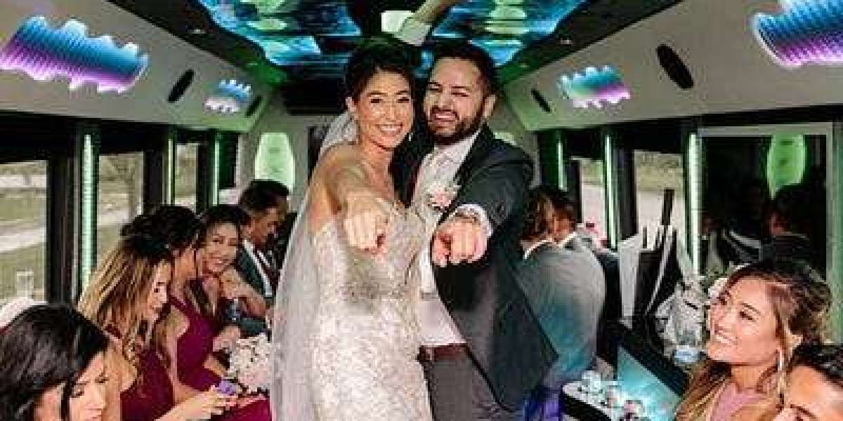 Wedding Transportation Service in Schaumburg