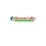 Blossom Valley