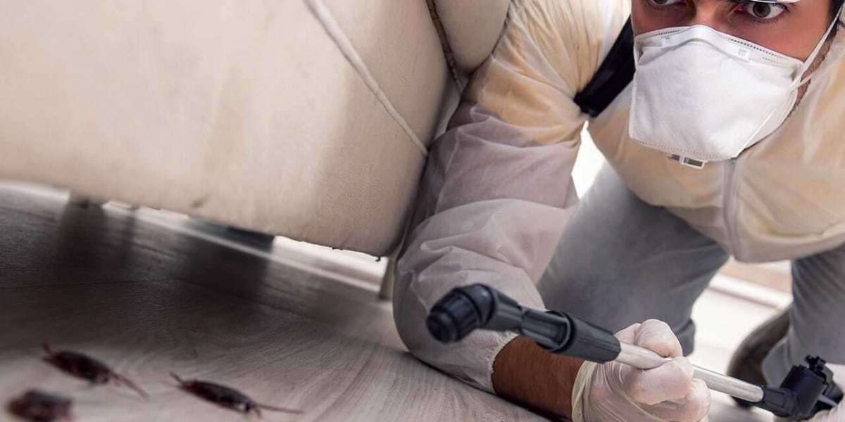 Ant Extermination Service Parma Oh