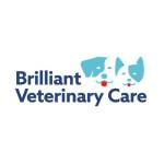 brilliant veterinarycare