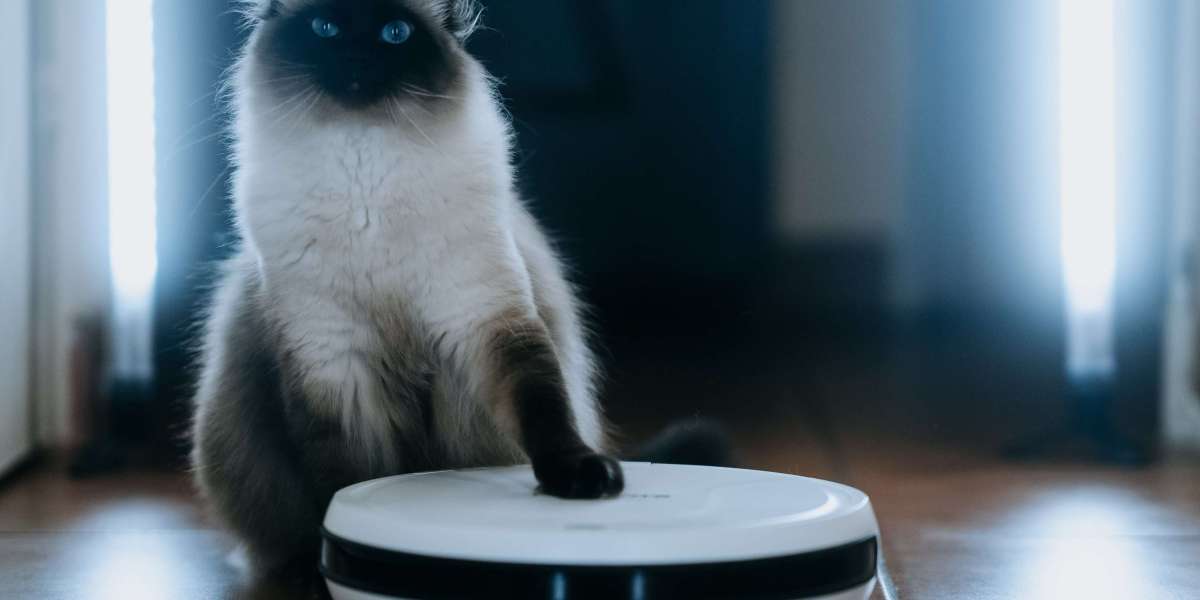 See What Best Affordable Robot Vacuum Tricks The Celebs Are Making Use Of