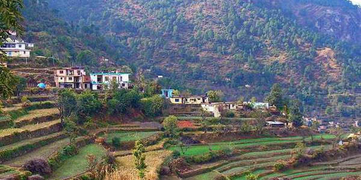 Chandigarh To Solan Taxi
