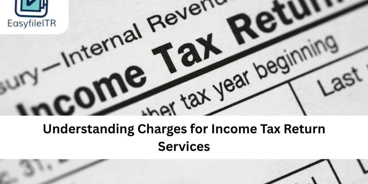 Understanding Charges for Income Tax Return Services