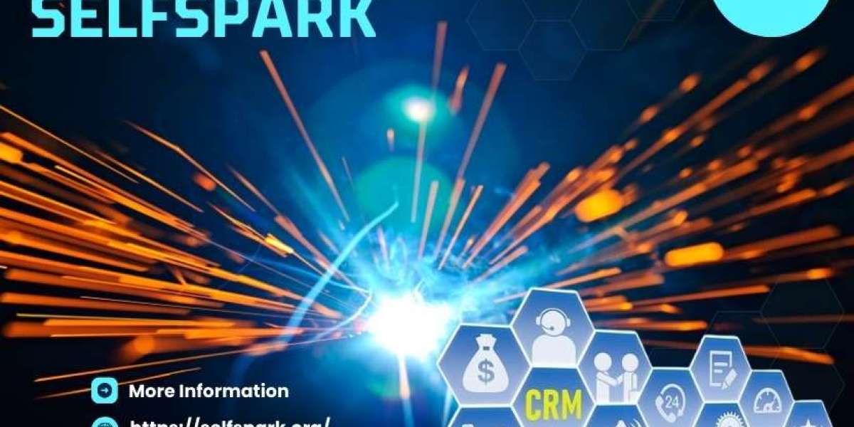 It's All About (The) SELFSPARK