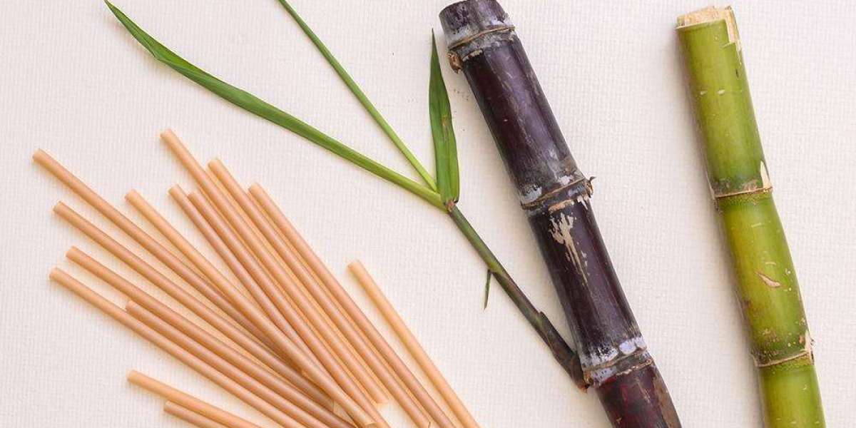 How Businesses Embrace Sustainable Straws